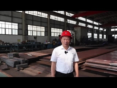 Caco3 수평 300 톤 / 일 가연 회전 오븐